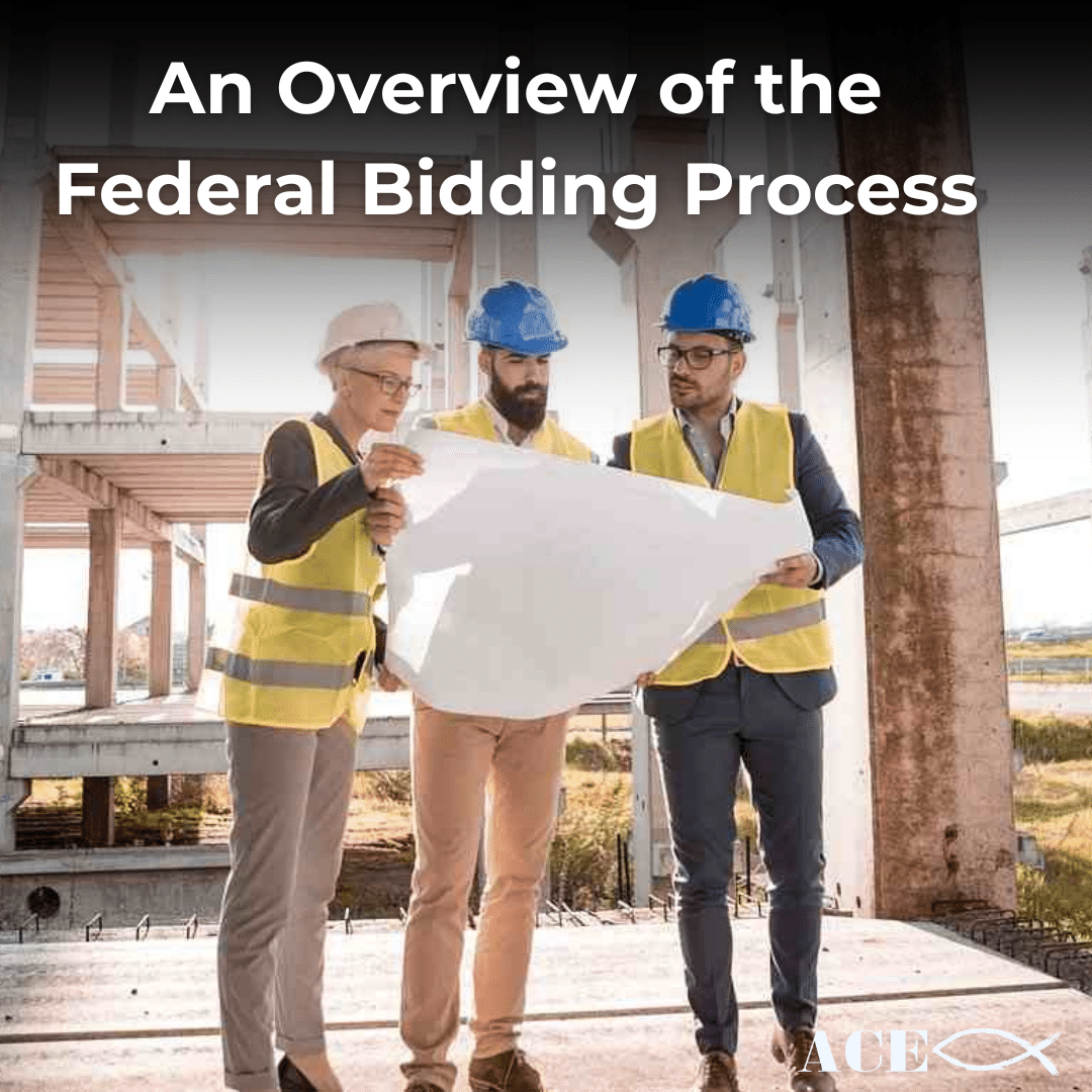 Federal Bidding Process