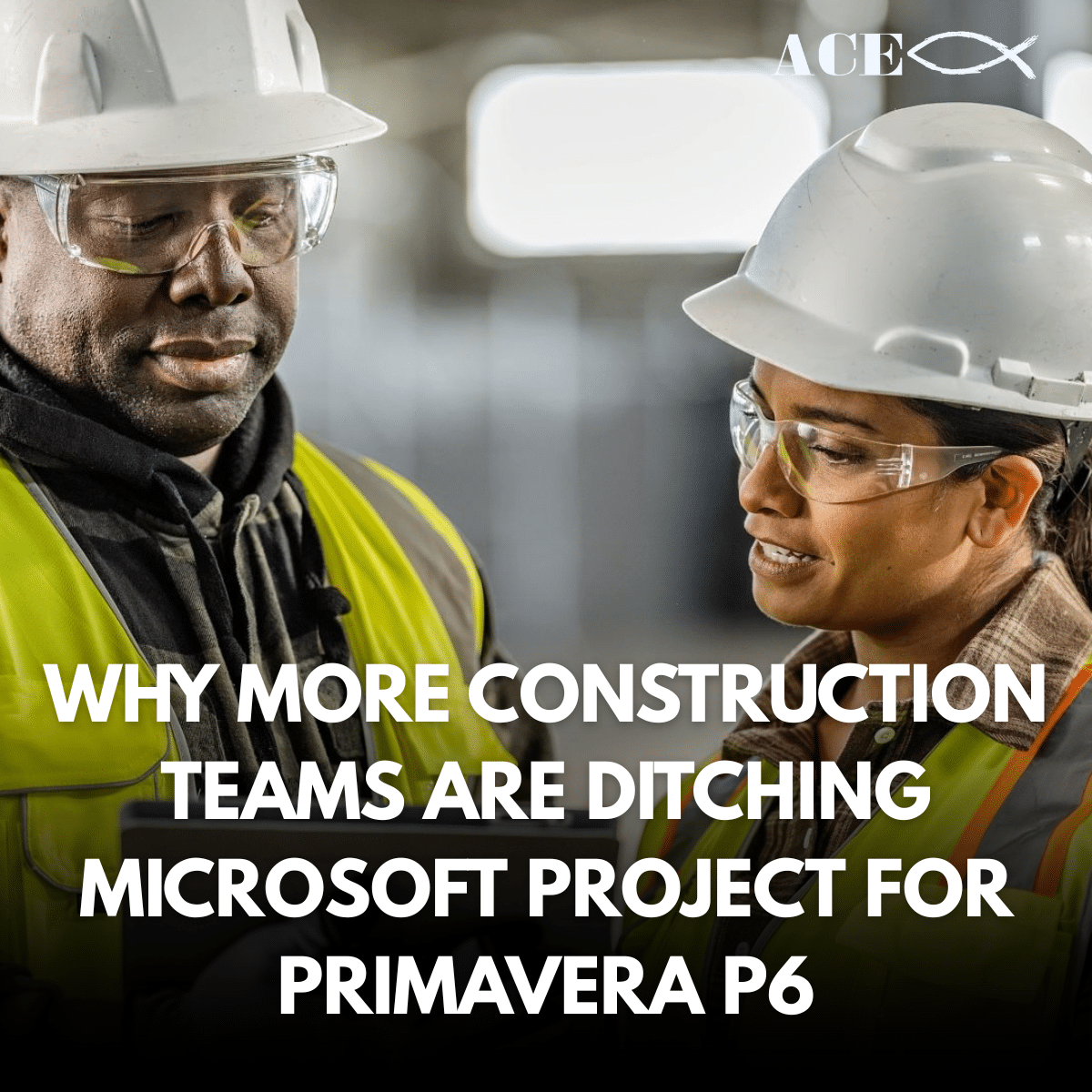 Primavera P6